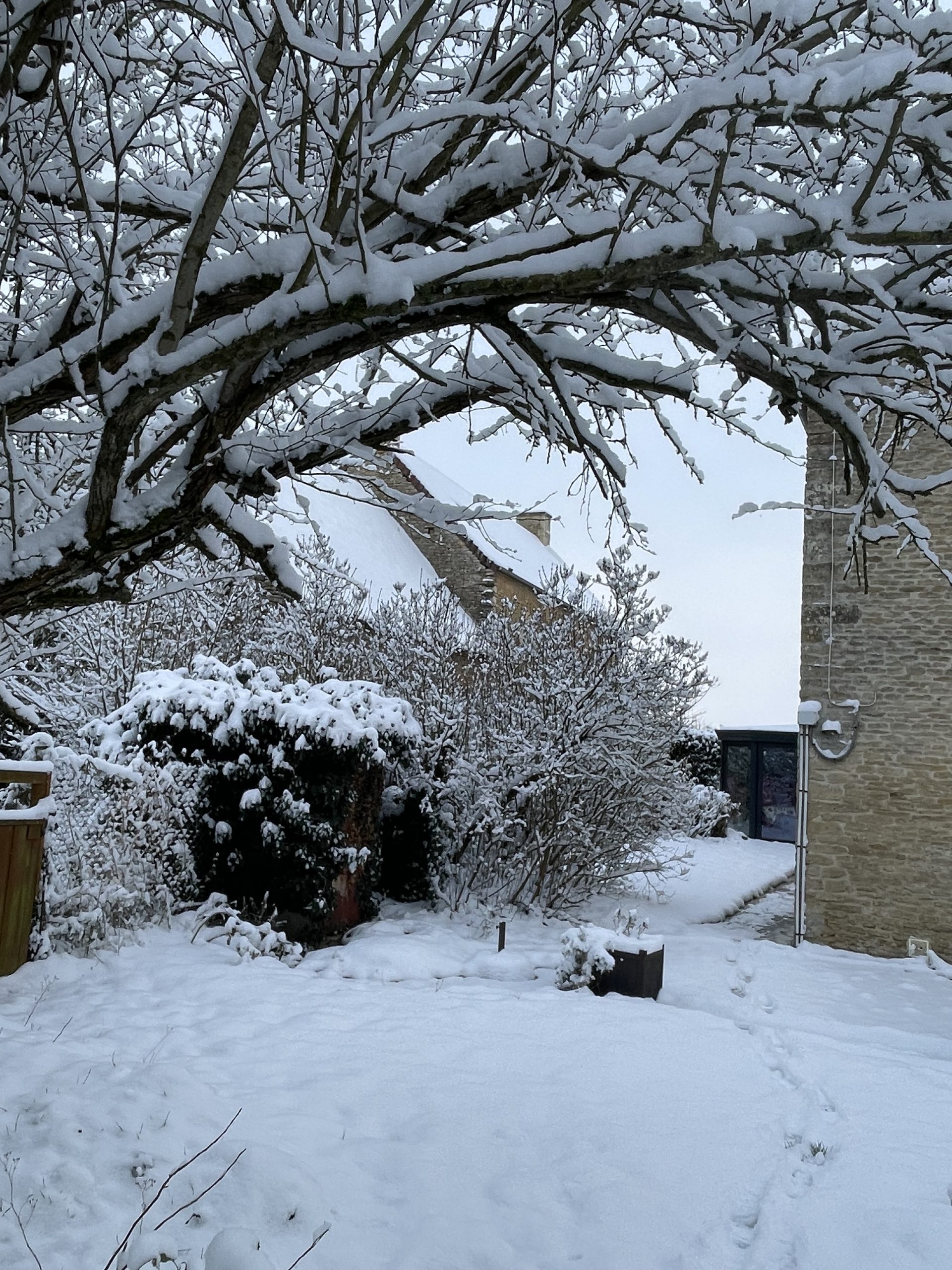 La neige au Jardin de Manou